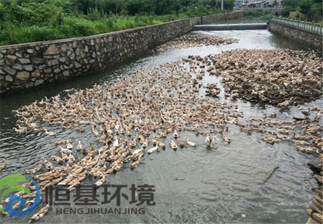 養(yǎng)雞場(chǎng)污水處理
